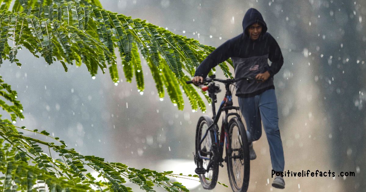 Rainfall_alerts_Positivelifefacts-.com_