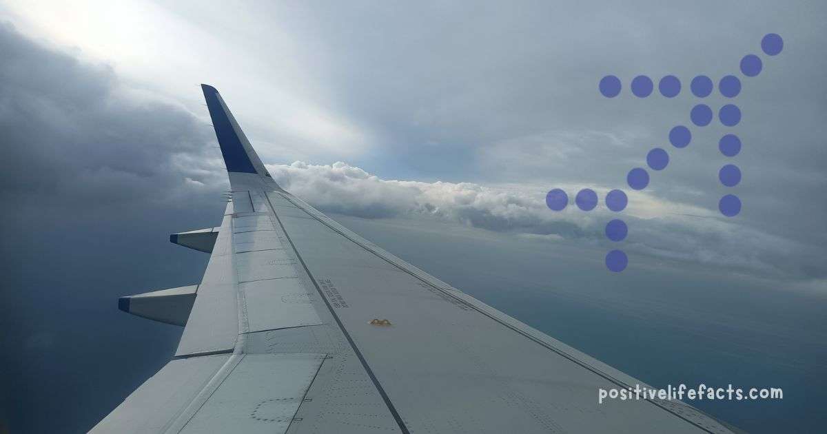 The-Success-Story-of-Indigo-Airlines