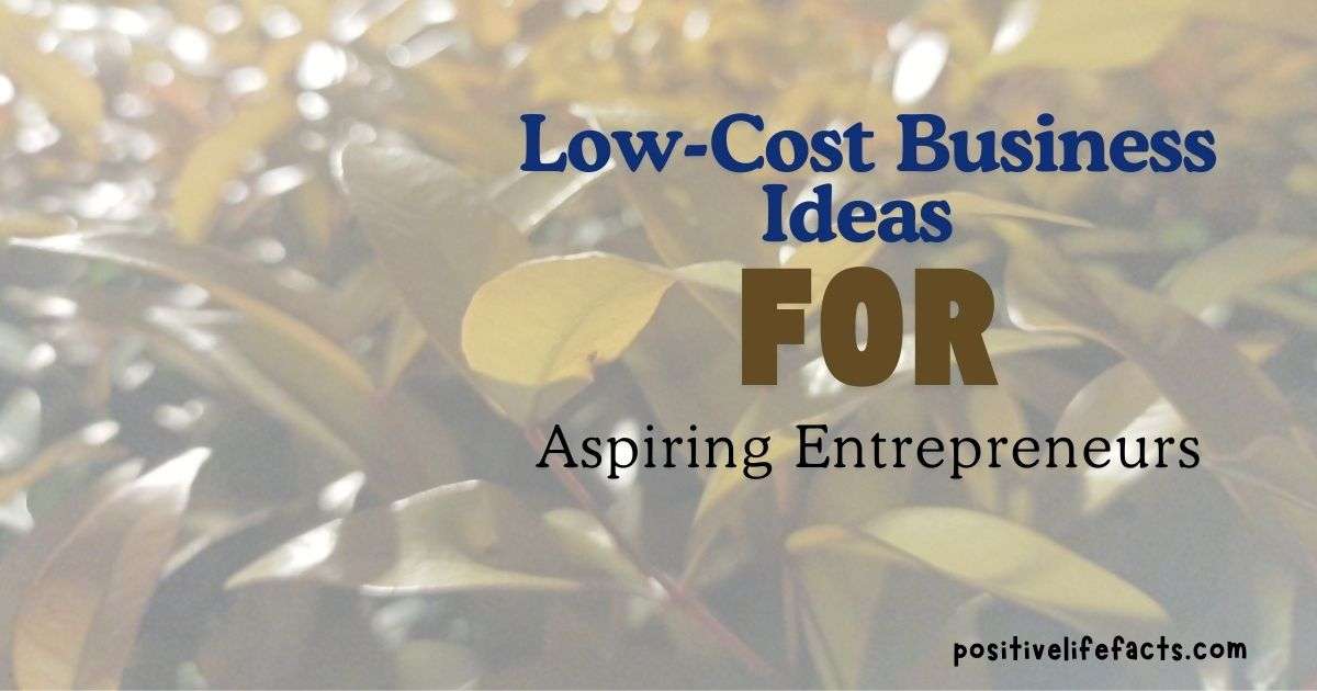 Low-Cost Business Ideas