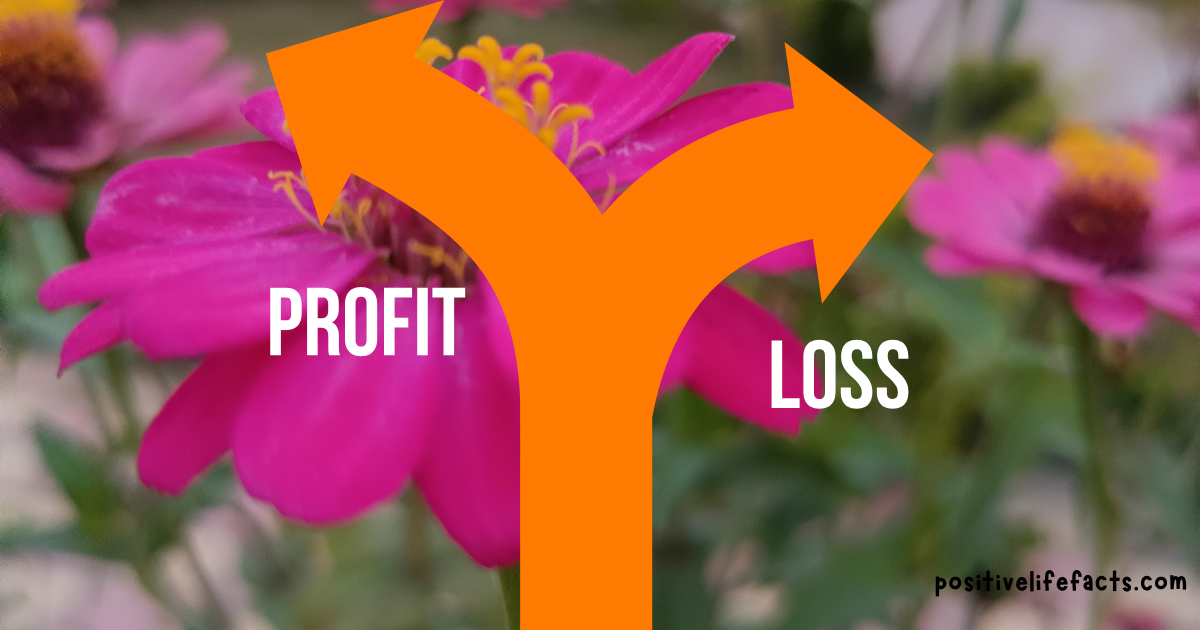 profit_and_loss